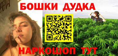 соль ск Новозыбков
