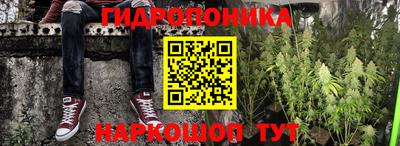 сатива Новокубанск