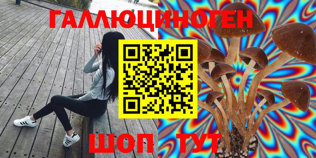 Галлюциногенные грибы GOLDEN TEACHER  Псилоцибиновые грибы ЛСД  Туймазы  Вход с VPN 